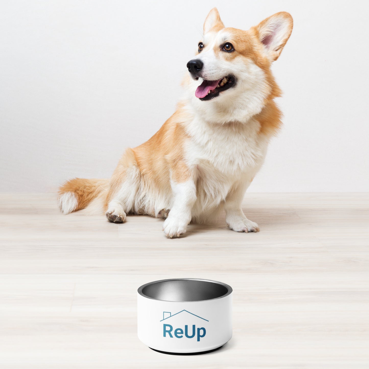 Pet bowl - ReUp Classic