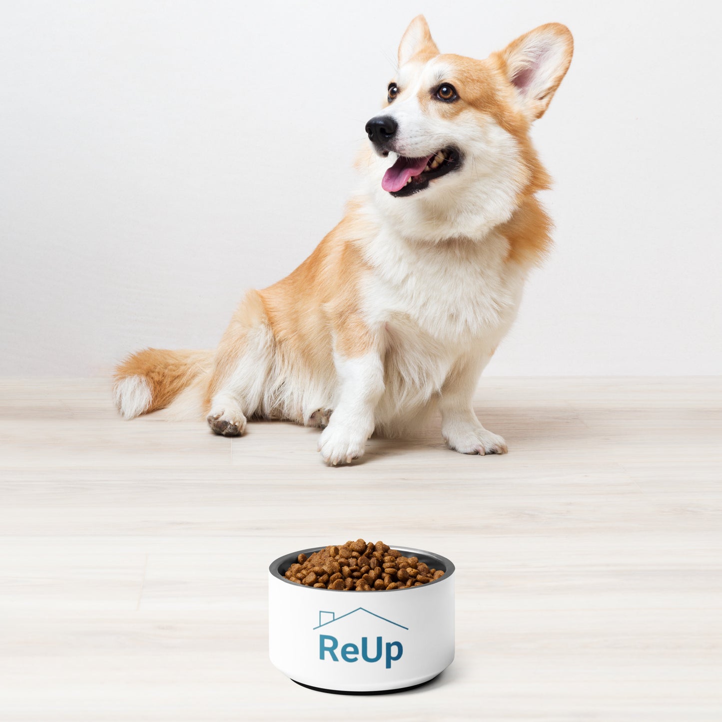 Pet bowl - ReUp Classic